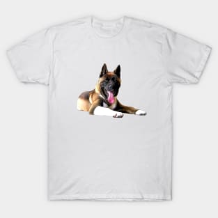 Akita - Stunning American Akita Inu T-Shirt